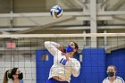Volleyball vs RWU  Wheaton Women’s Volleyball vs Roger Williams University. : Volleyball, VB